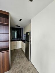 Skysuites@Anson (D2), Apartment #399838821